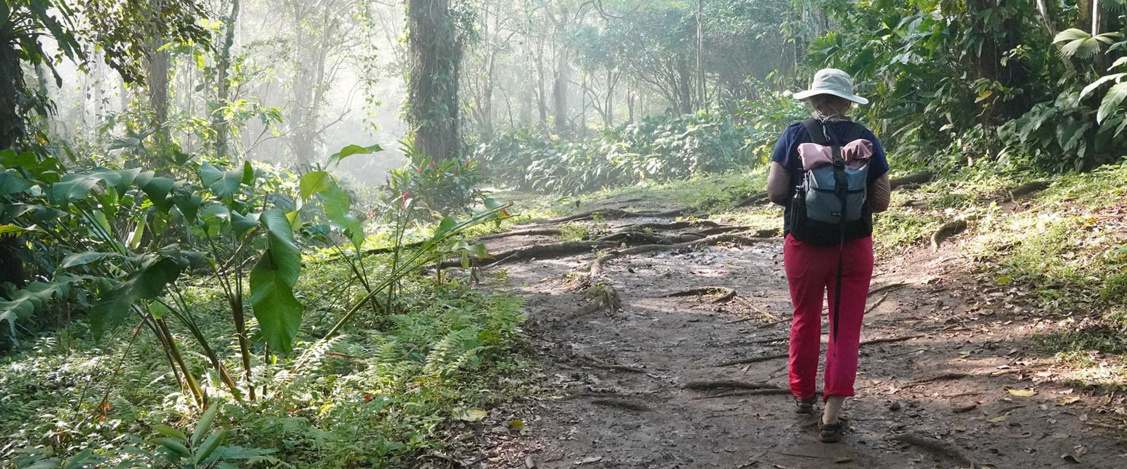 Rückansicht einer Wanderin mit Rucksack und Hut, die auf einem schlammigen Pfad durch einen dichten, dschungelartigen Wald mit großen Farnen und Lianen läuft. Das Sonnenlicht fällt sanft durch das Blätterdach.